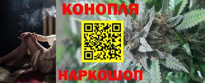 PSILOCYBIN Нальчик